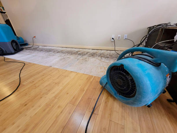 Professional Sewage Cleanup technician working in New Haven, OH